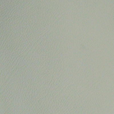 Cream-colored BMW grain (embossed leather)